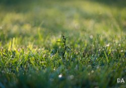28-Bokeh 28-Bokeh