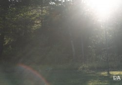 30-Flare-2 30-Flare-2