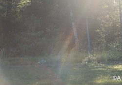 30-Flare-3 30-Flare-3