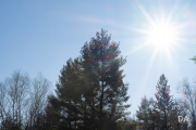 Flare-3