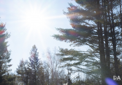 Flare-2