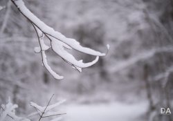 29-Bokeh-2