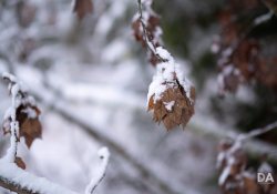 29-Bokeh-3