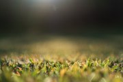 Fuji-56mm-Samples-8