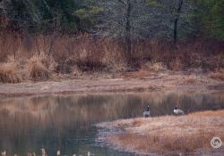 40-Gorgeous 40-Gorgeous