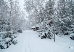 03 Snowfall