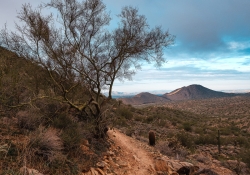Sunrise Trailhead