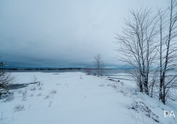 31 Landscapes-11 31 Landscapes-11