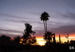 31 Landscapes-12 31 Landscapes-12