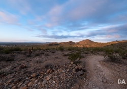 31 Landscapes-4