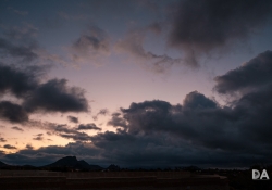31 Landscapes-6