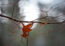 27-Bokeh-Samples-2