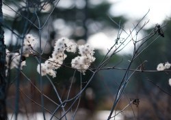 27-Bokeh-Samples-3