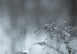27-Bokeh-Samples-7