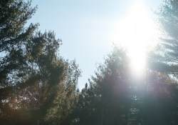 31-Flare-2