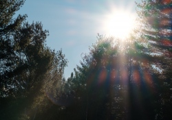 31-Flare-3
