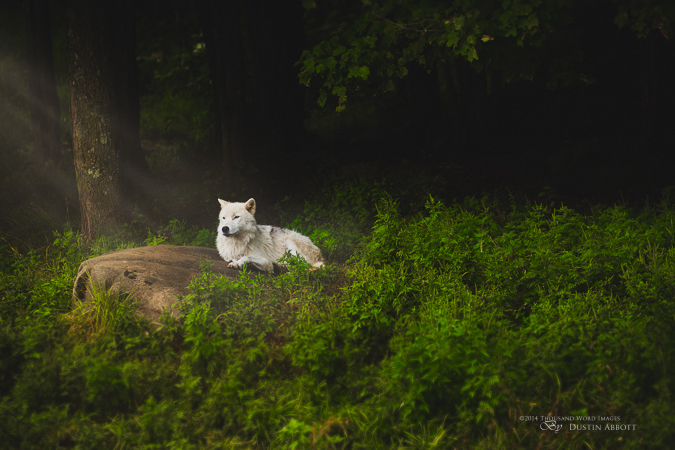 DustinAbbott Net DustinAbbott DustinAbbott Net DustinAbbott