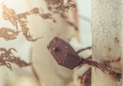 Unlocking the Mystery