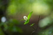 In Praise of Special-18