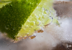 20 Macro-9