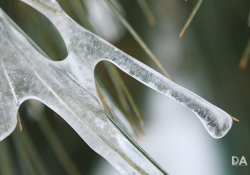 20 Macro