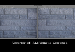 22 Vignette