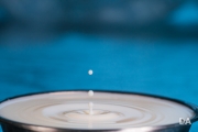 Milk Droplets-3