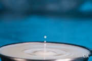 Milk Droplets