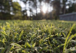 Bokeh-2