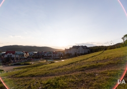 Flare Composition-2