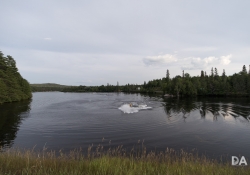 Landscapes-2