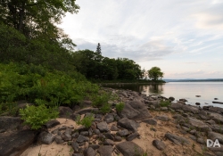 Landscapes-5