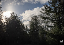 35-Flare-2