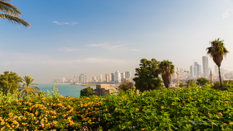 Israel-8