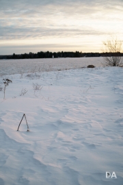Frosty Sunrise-9
