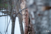 Kamlan Walk Samples-18
