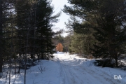 Late March Walk-14