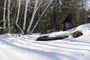 Late March Walk-16