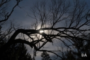 Late March Walk-5