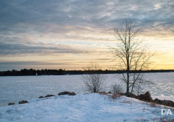 Frosty Sunrise-8