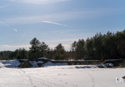 Late March Walk-12