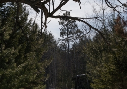 Late March Walk-6