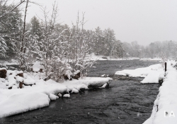 Winters Vengeance-2