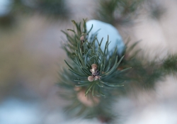 24-Bokeh-3 24-Bokeh-3