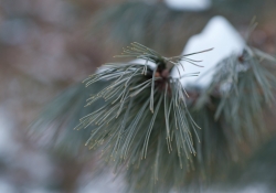 24-Bokeh-4 24-Bokeh-4