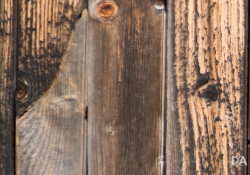 F28 Crops-2 F28 Crops-2