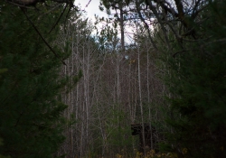 Landscapes-5 Landscapes-5
