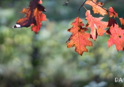 First KamLan shots-12