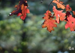 First KamLan shots-13