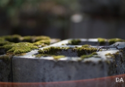 First KamLan shots-15